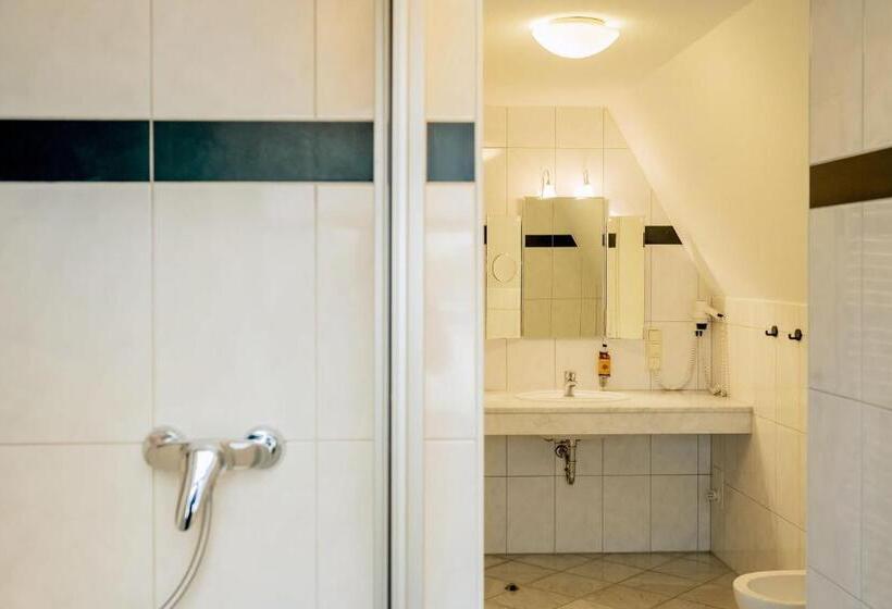 Апартаменты 3 Спальни, Steiger Apparthotel Bad Schandau