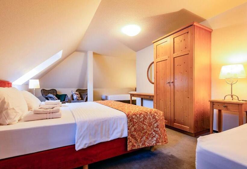Апартаменты 3 Спальни, Steiger Apparthotel Bad Schandau