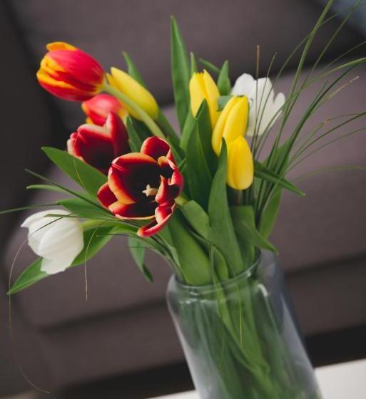 バルコニー付2ベッドルームアパートメント, Valentinos Apartments