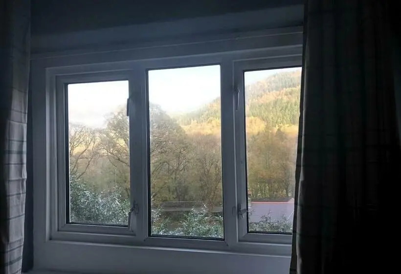 ルームシェアのワンベッド, The Vagabond Bunkhouse