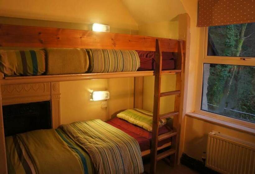 Кровать в Общей Комнате, The Vagabond Bunkhouse