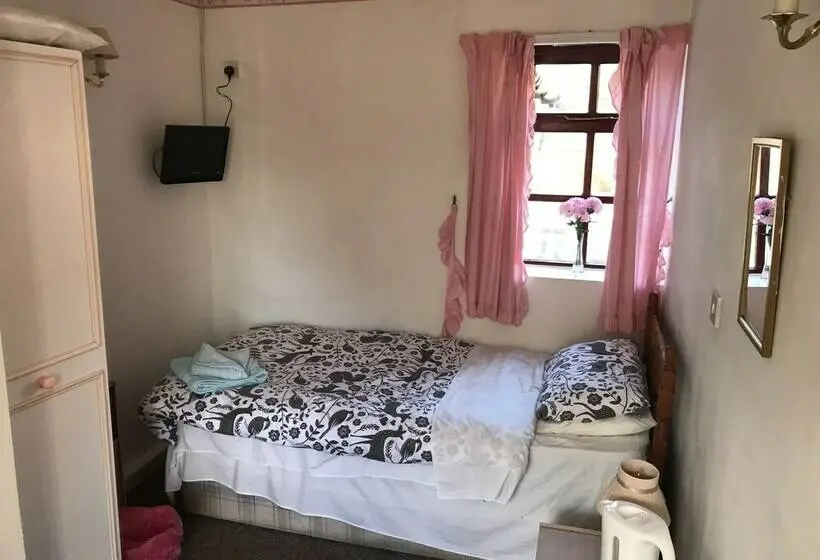 スタンダードシングルルーム, Butterfly Guest House
