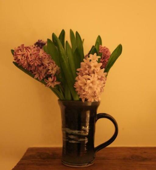 חדר יחיד נוף לגינה, Moon In The Apple Tree