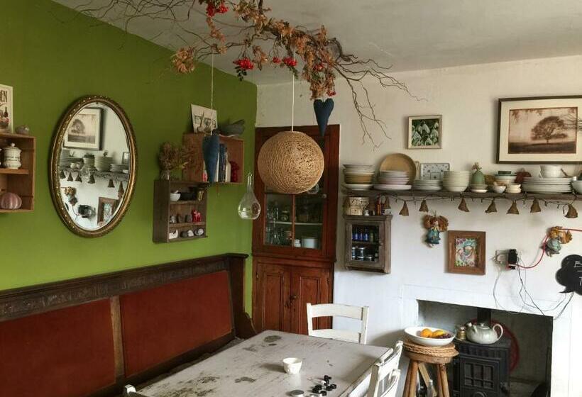 חדר סטנדרט, Moon In The Apple Tree