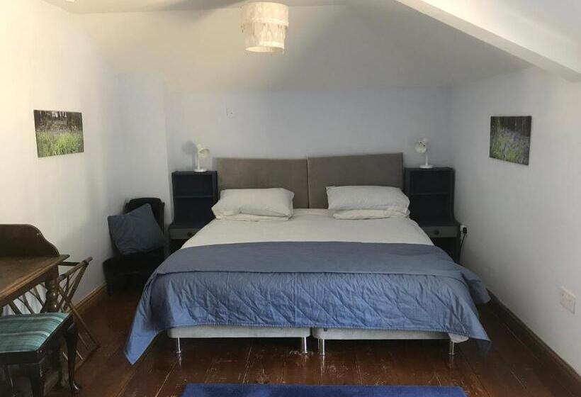 Номер Стандарт, Pleck Barn B&b