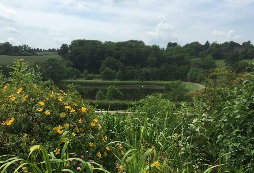 غرفة قياسية, The Dinney B&b