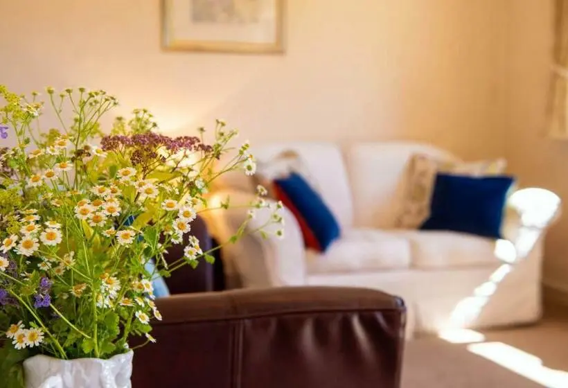 スイート, The Dinney B&b