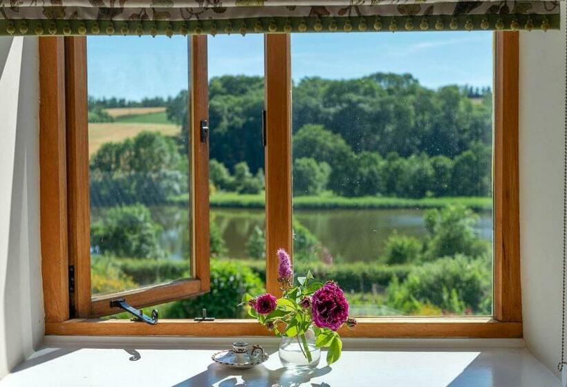 غرفة قياسية, The Dinney B&b