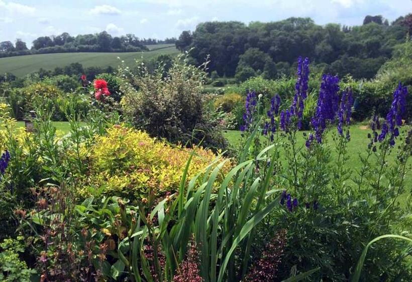 جناح, The Dinney B&b