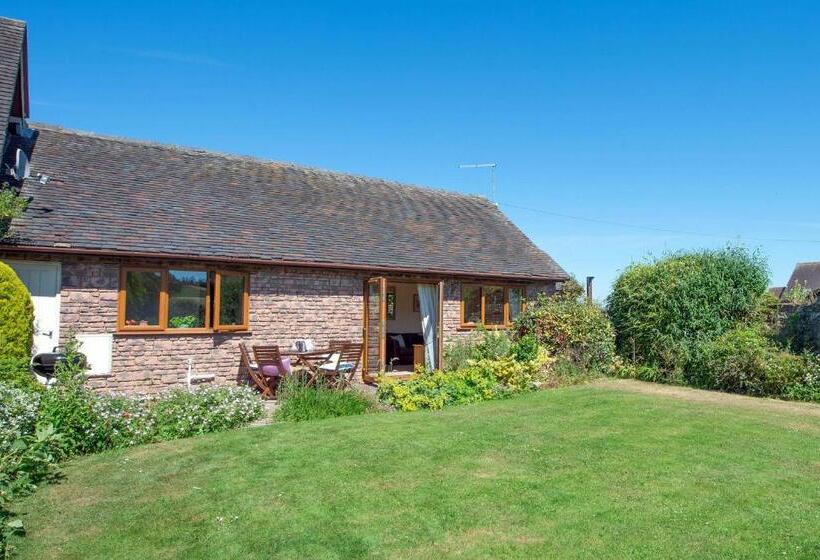 جناح, The Dinney B&b