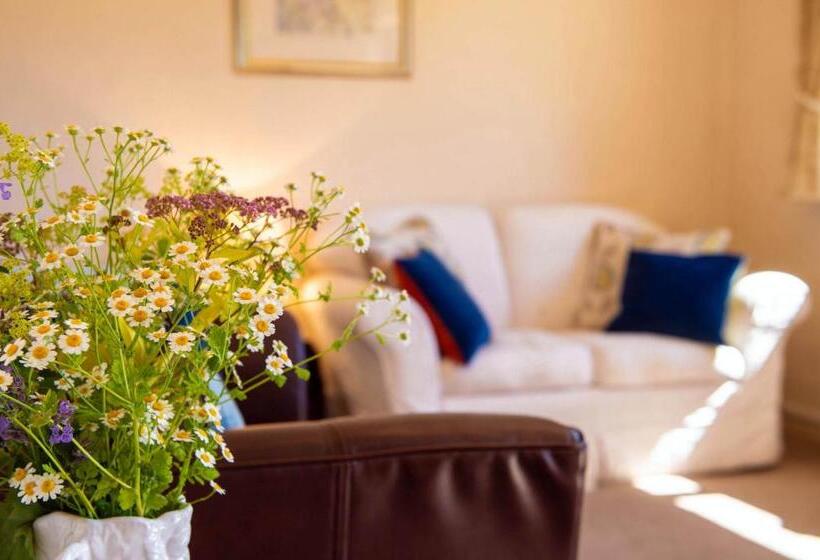 جناح غرفتين نوم, The Dinney B&b