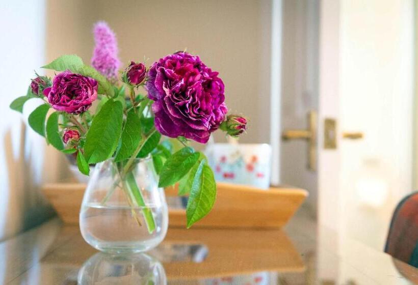 غرفة قياسية, The Dinney B&b