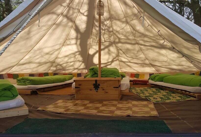 Premium Tent, Yha South Downs