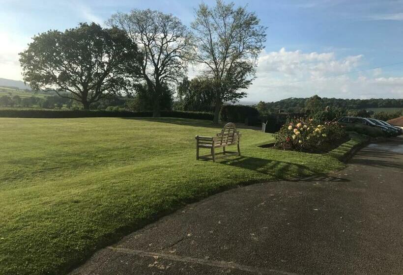 غرفة كلاسيكية سرير كينج, Cedar House