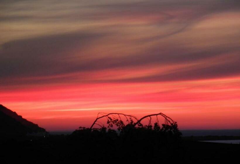 غرفة قياسية, Cedar House