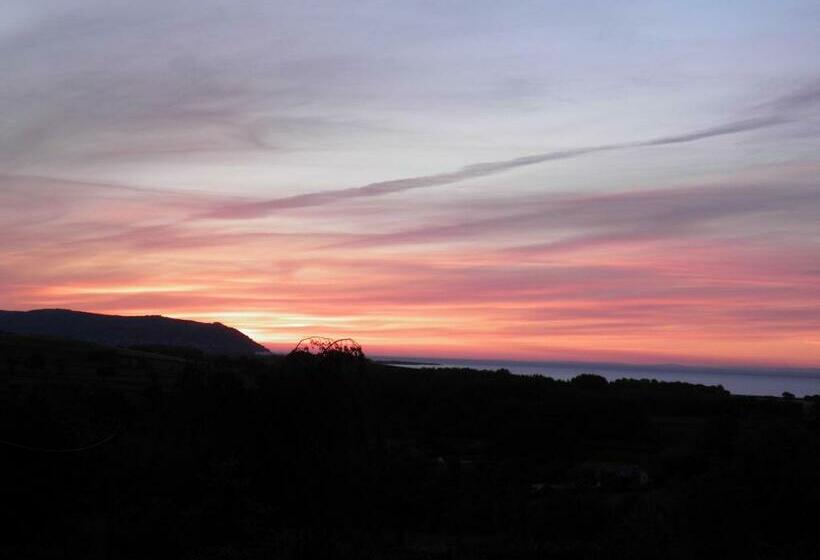 غرفة قياسية, Cedar House