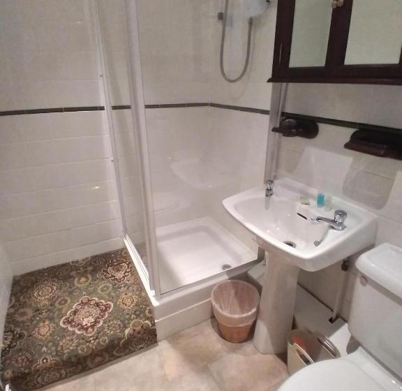 غرفة قياسية, Pen Y Bont