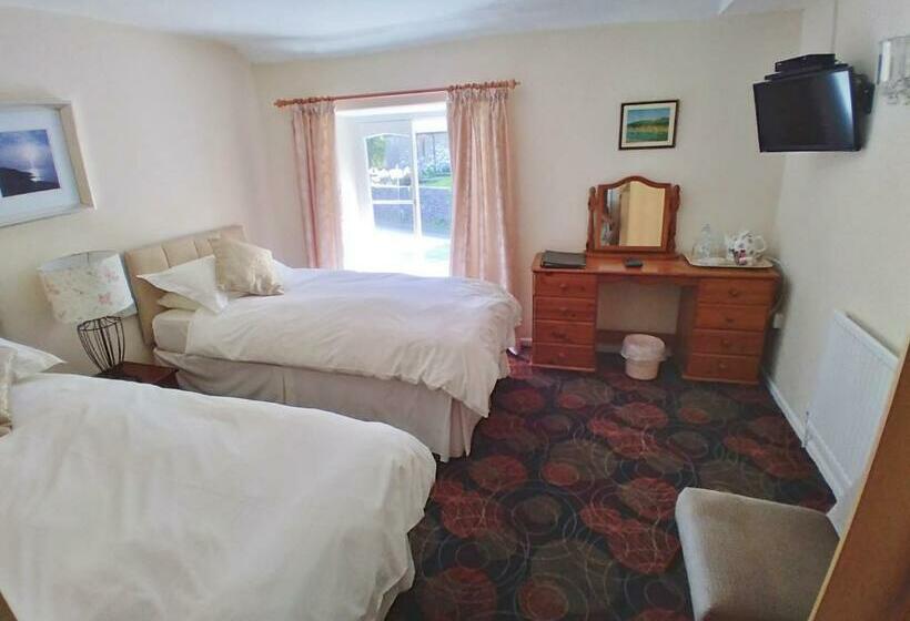 غرفة قياسية, Pen Y Bont