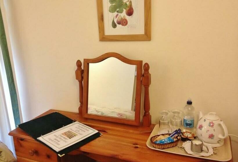 غرفة قياسية, Pen Y Bont