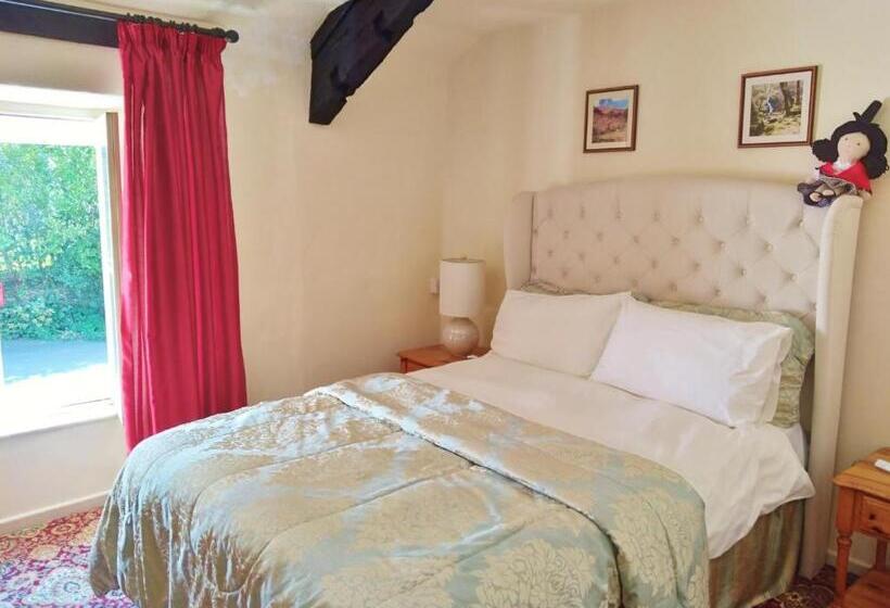 غرفة قياسية, Pen Y Bont