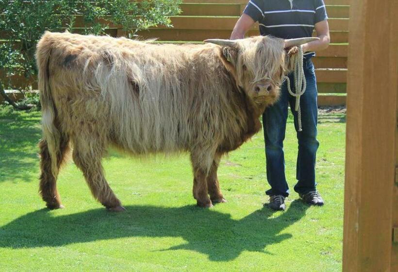 חדר דלוקס נוף לים, Valleyview House