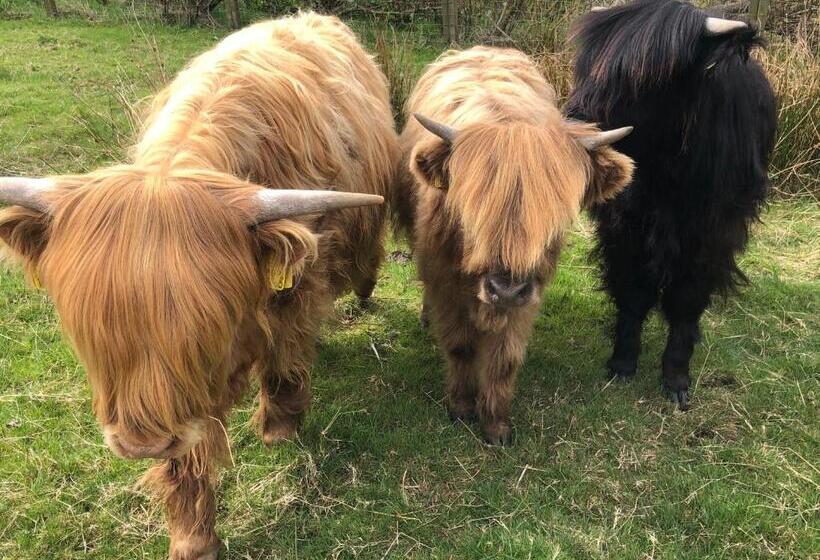 חדר דלוקס עם מיטת קינג, Valleyview House