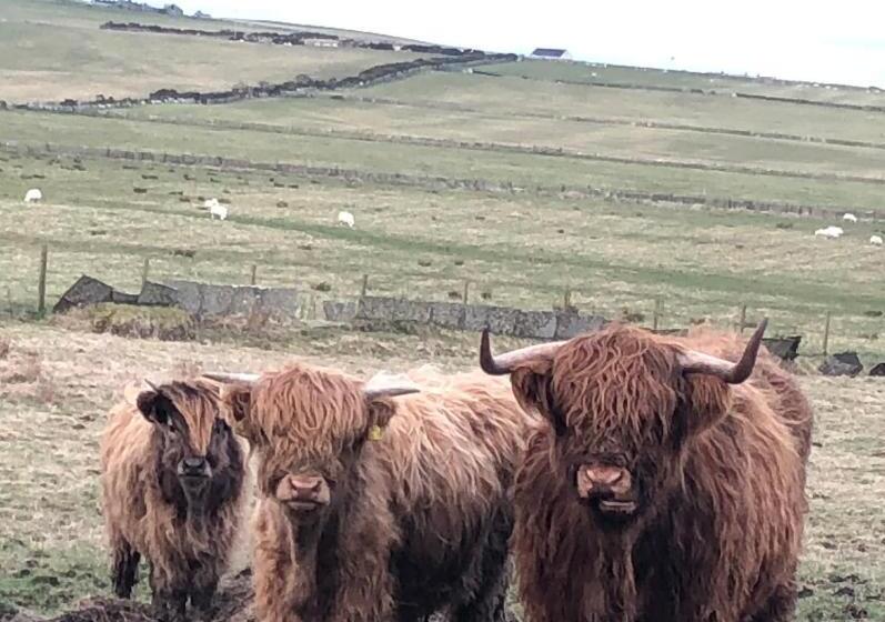 חדר דלוקס עם מיטת קינג, Valleyview House