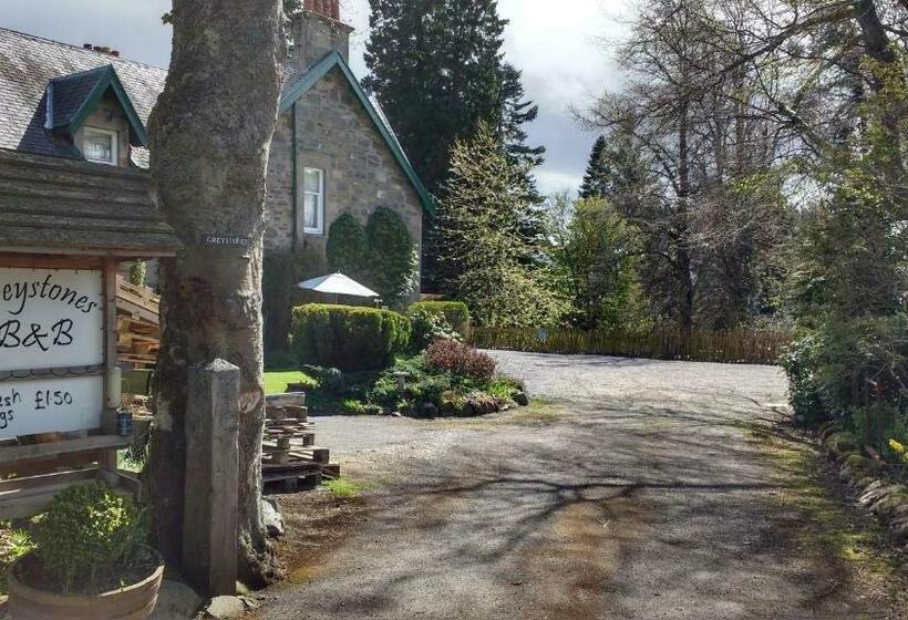 Номер Стандарт, Greystones B&b