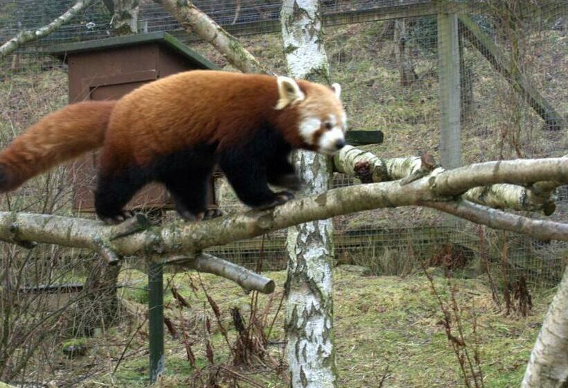 Номер Стандарт, Greystones B&b