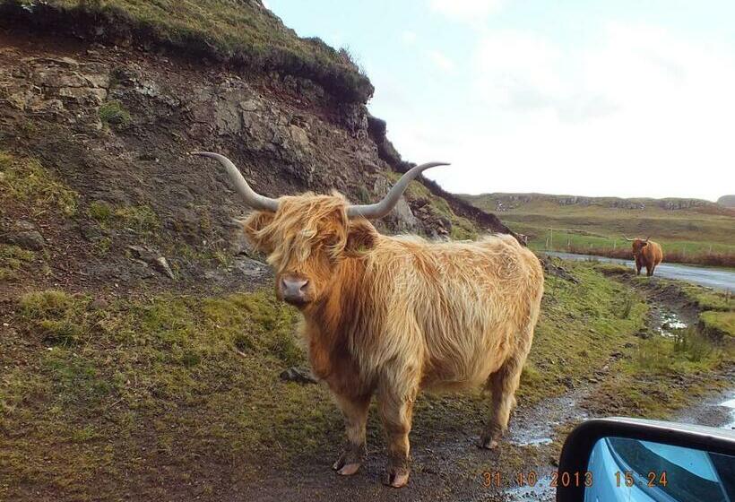 Номер Стандарт, Greystones B&b