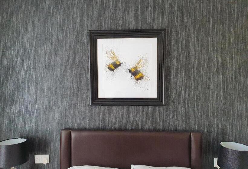 חדר סופריור, The Dudley