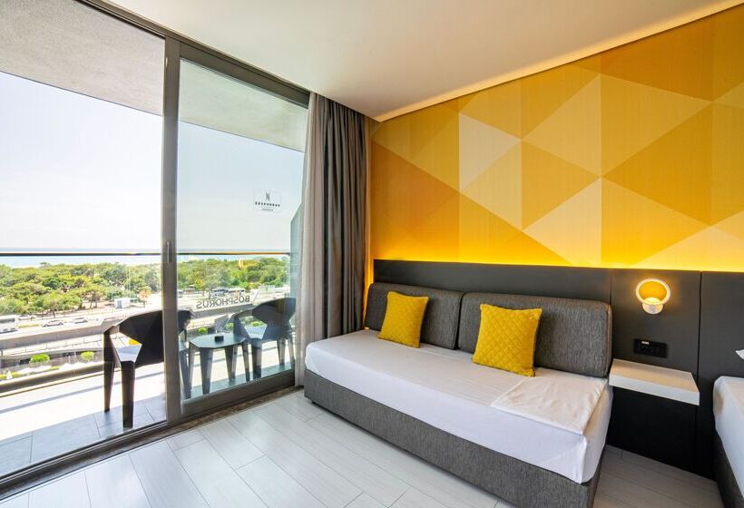 スタンダードルーム, Bosphorus Sorgun Hotel   All Inclusive