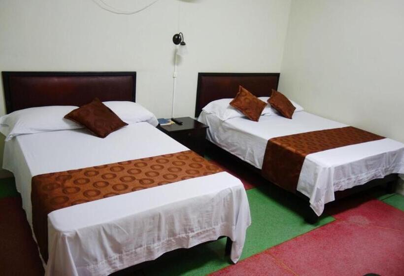 베이직 3인 룸, Cafetto