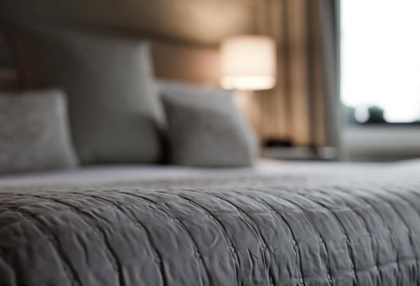 Standart Oda, The Cults