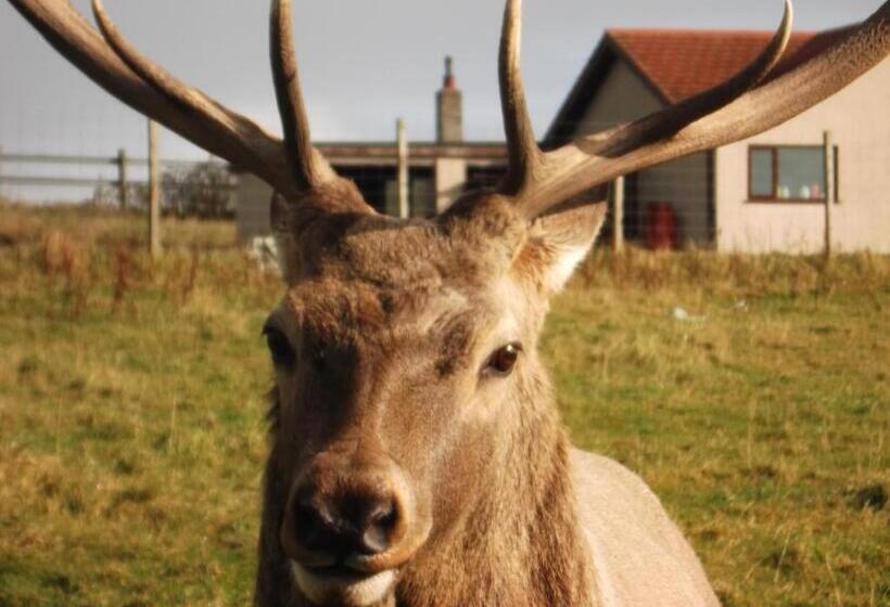 Номер Стандартный с Видом, Foyers Roost