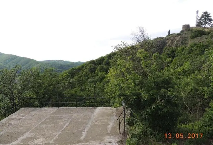 اتاق اکونومی, Galavnis Kari
