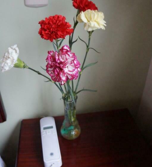 اتاق استاندارد, Hostal Pucará