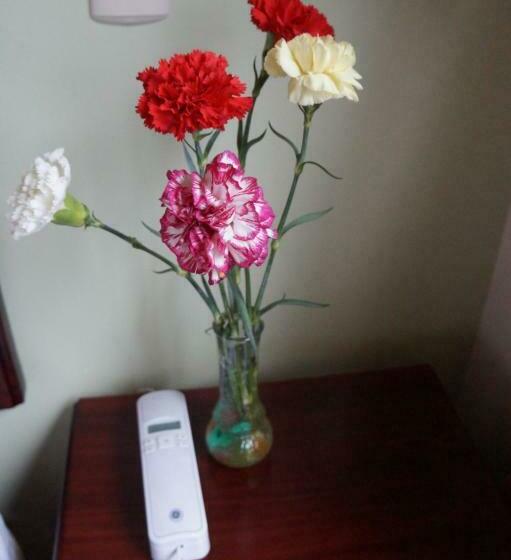 اتاق استاندارد, Hostal Pucará