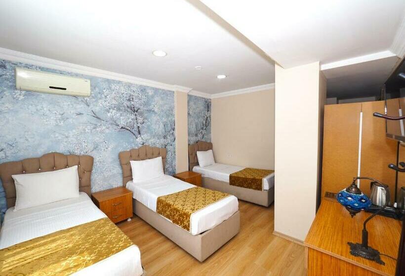 اتاق استاندارد سه نفره, Seyri Istanbul