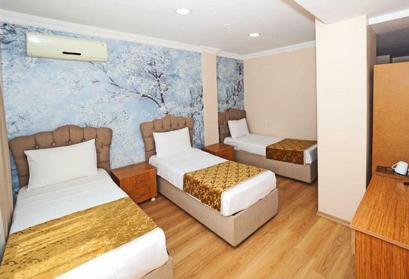 اتاق استاندارد سه نفره, Seyri Istanbul