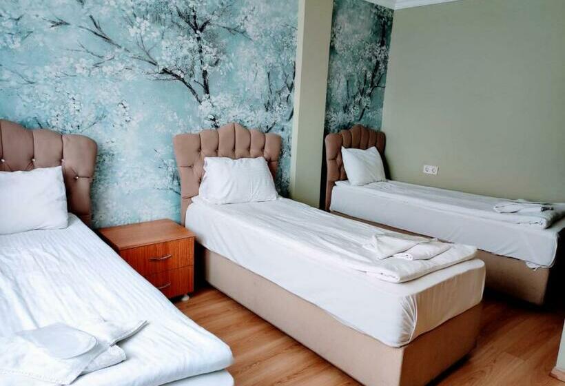 اتاق استاندارد سه نفره, Seyri Istanbul