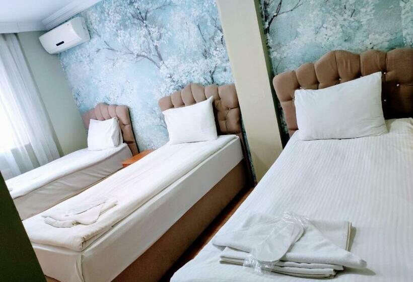 اتاق استاندارد سه نفره, Seyri Istanbul