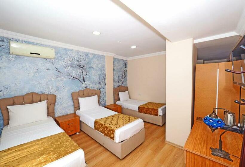 اتاق استاندارد سه نفره, Seyri Istanbul