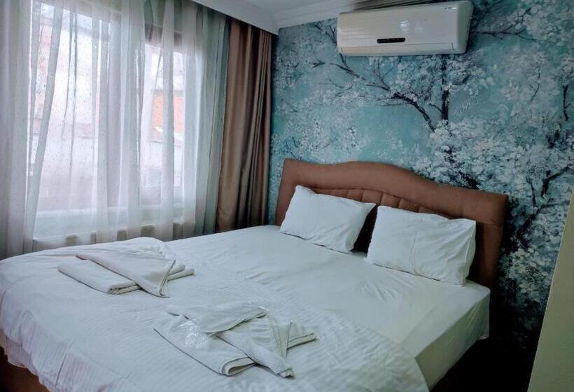 اتاق استاندارد یک نفره, Seyri Istanbul