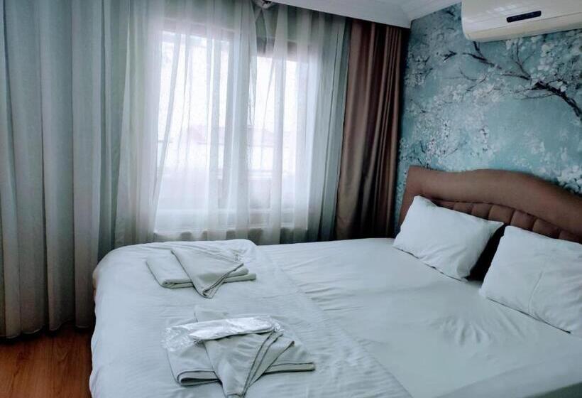 اتاق استاندارد, Seyri Istanbul