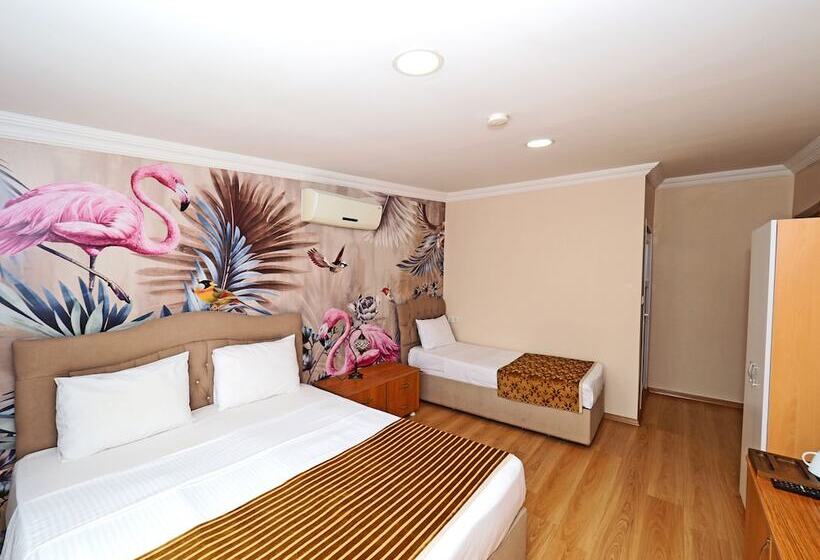 اتاق استاندارد سه نفره, Seyri Istanbul