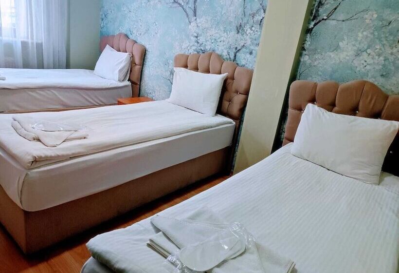 اتاق استاندارد سه نفره, Seyri Istanbul