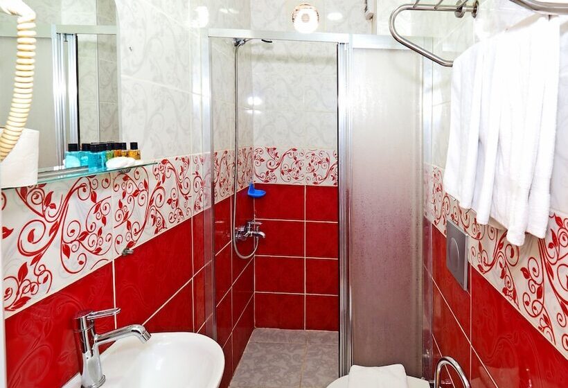 اتاق استاندارد یک نفره, Seyri Istanbul