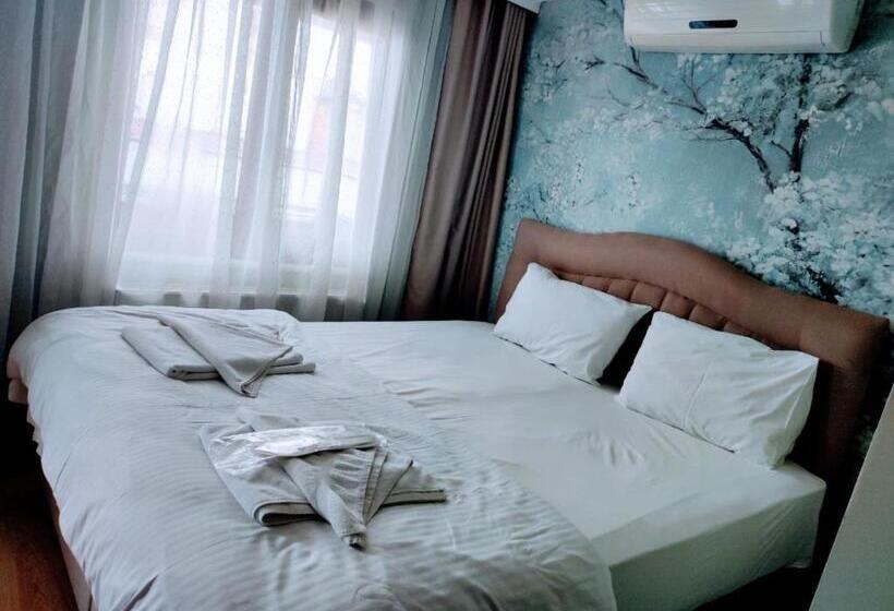 اتاق استاندارد, Seyri Istanbul