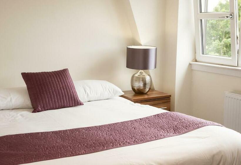 Habitació Deluxe, The Birchtree